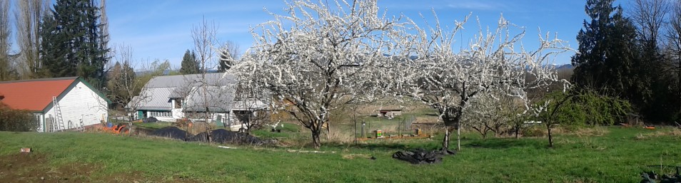 Glen Valley Organic Farm Co-op